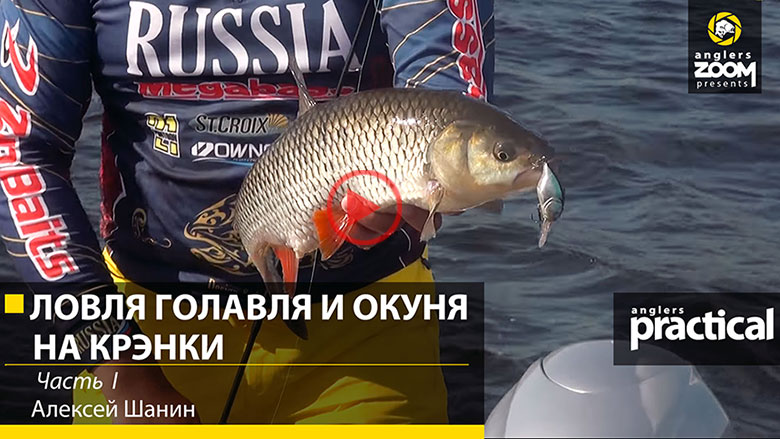 ловля окуня на кренк видео ловля окуня на кренк видео