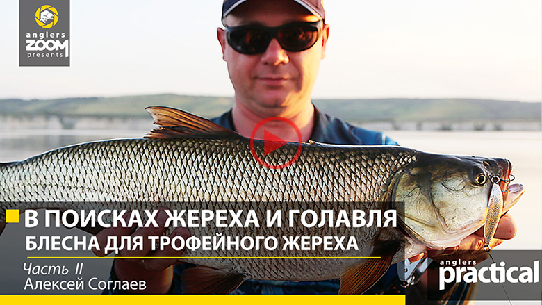рыбалка на волге на жереха видео рыбалка на волге на жереха видео