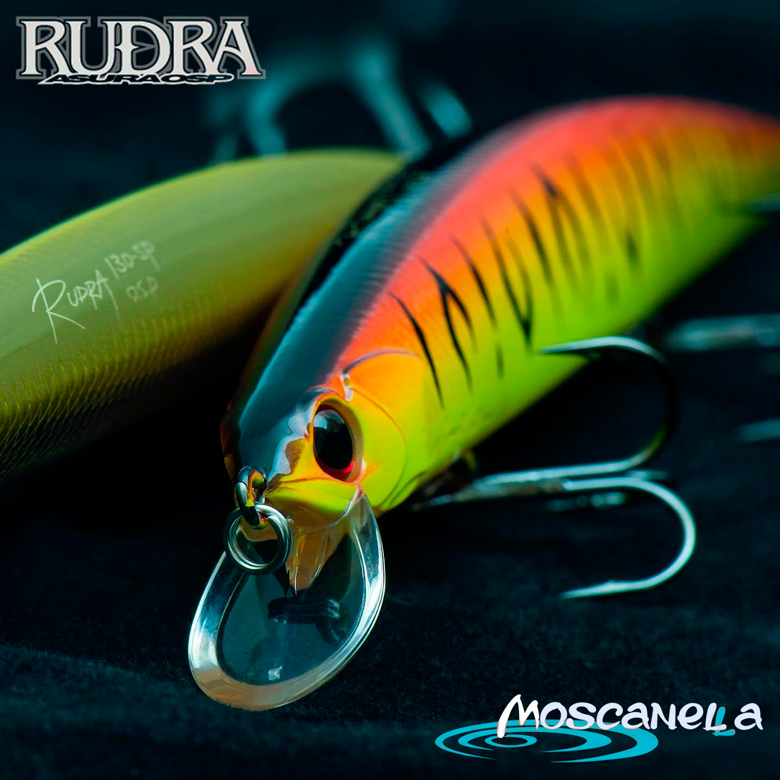 Rudra