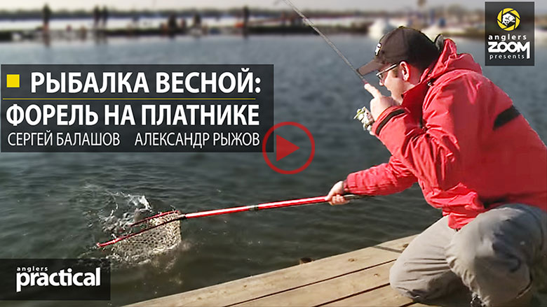 Посмотреть видео на канале anglerszoom