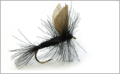 Dry Flies