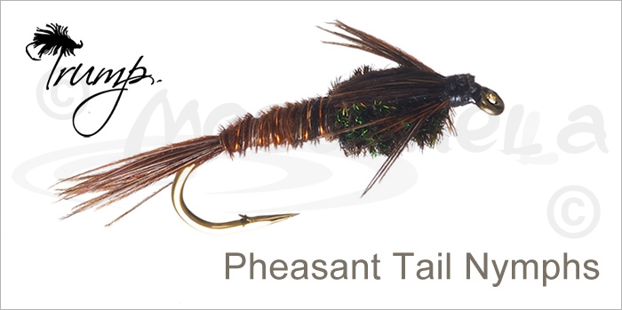 Изображение Trump Pheasant Tail Nymphs