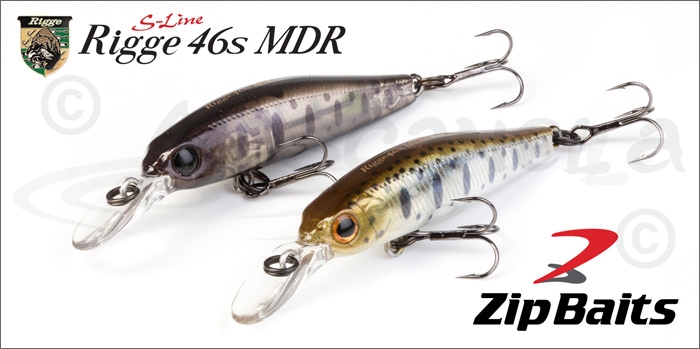 Изображение ZipBaits Rigge 46S MDR