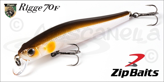 Изображение ZipBaits Rigge 70