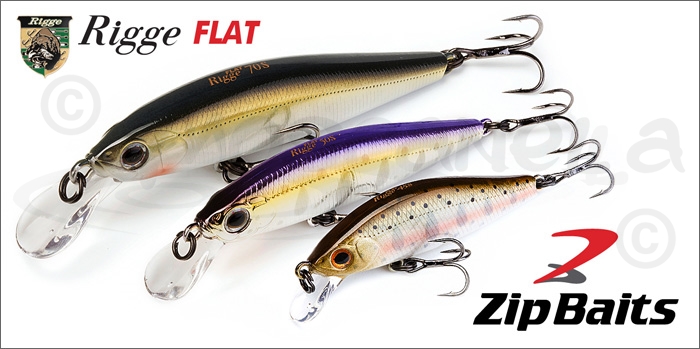 Изображение ZipBaits Rigge Flat