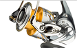 Daiwa 13' CERTATE