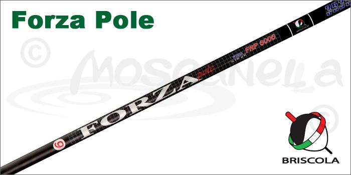 Изображение Briscola FORZA POLE