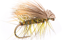 Trump CADDIS DRY FLY PATTERNS