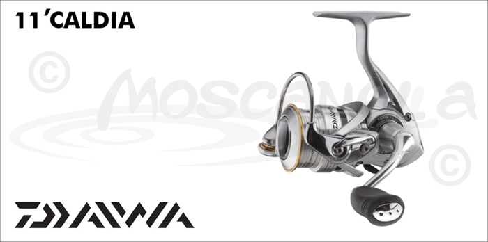 Изображение Daiwa 11' Caldia