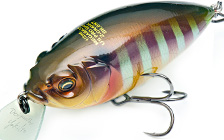 Megabass Z-CRANK X