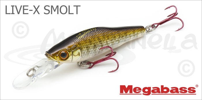 Изображение Megabass LIVE-X SMOLT