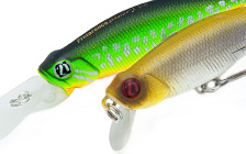 Preference Shad