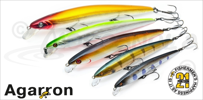 Изображение Pontoon21 Agarron