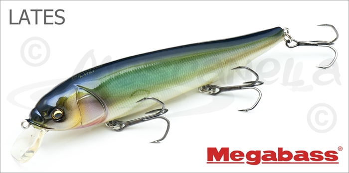 Изображение Megabass LATES