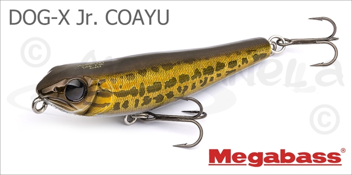 Изображение Megabass DOG-X Jr. COAYU