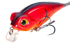 Owner/C'ultiva Bug Eye Bait