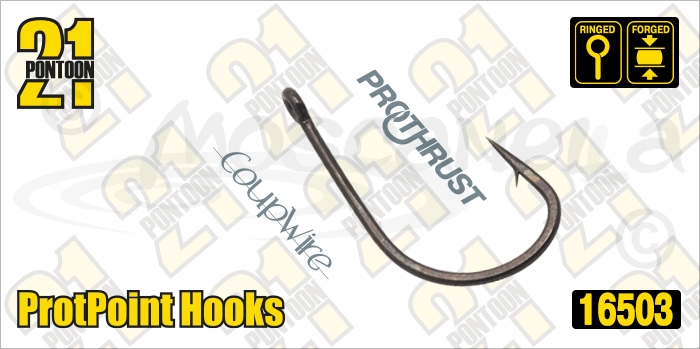 Изображение Pontoon21 16503 ProtPoint Hooks