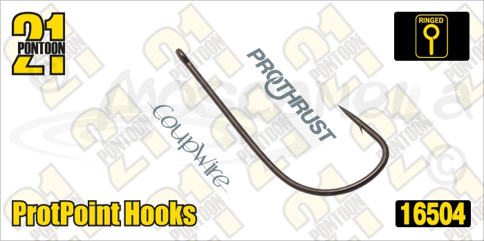 Изображение Pontoon21 16504 ProtPoint Hooks