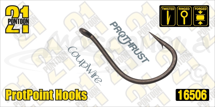 Изображение Pontoon21 16506 ProtPoint Hooks