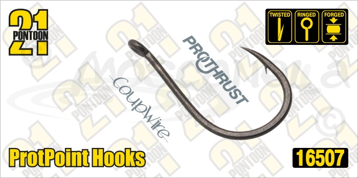 Изображение Pontoon21 16507 ProtPoint Hooks