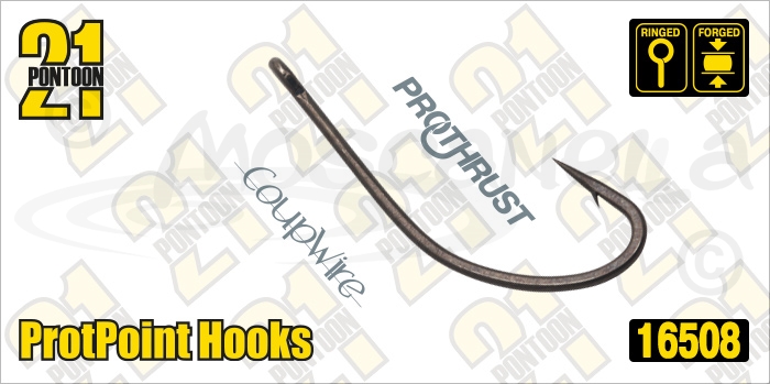 Изображение Pontoon21 16508 ProtPoint Hooks