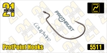 5511 ProtPoint Hooks